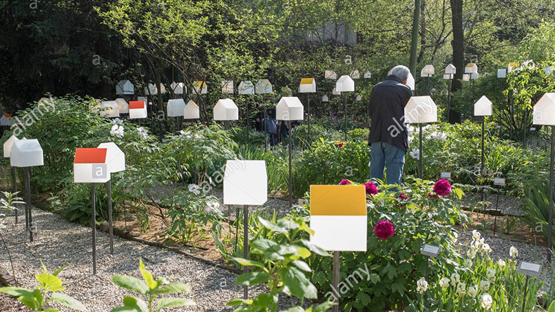 Architectural Exhibition at Salone del Mobile how plants take part in oxygen and carbon dioxide production.